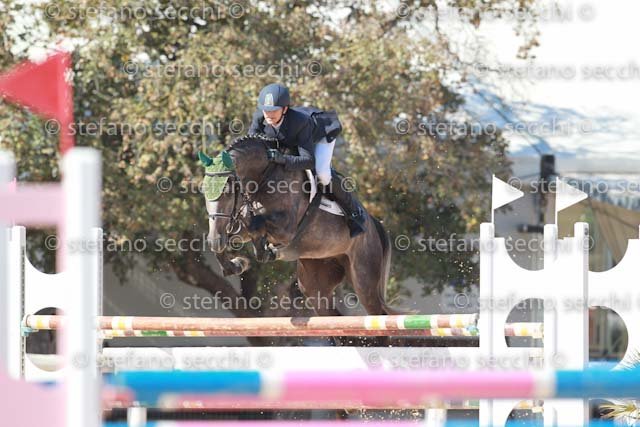 PECCHIO_OTHELLO_GIO CAV 2011_SS3_6864.jpg